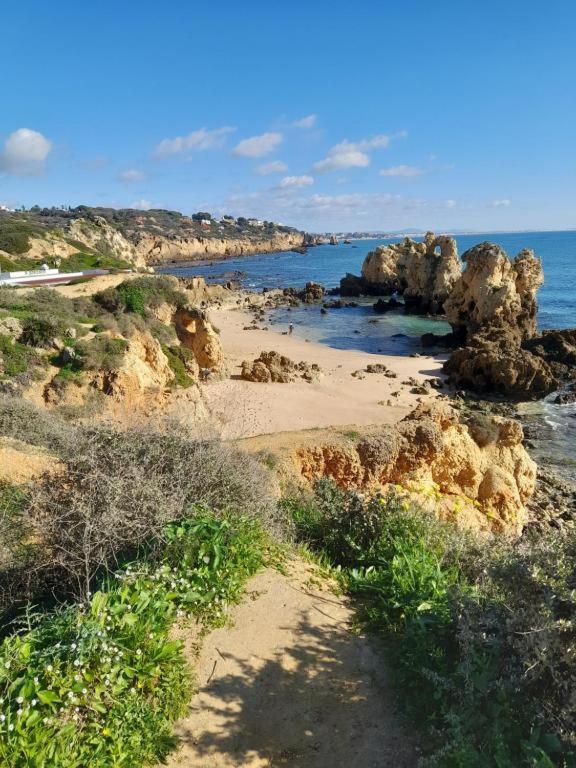 Estudio Puertorico T0 Em Albufeira Gale Zewnętrze zdjęcie